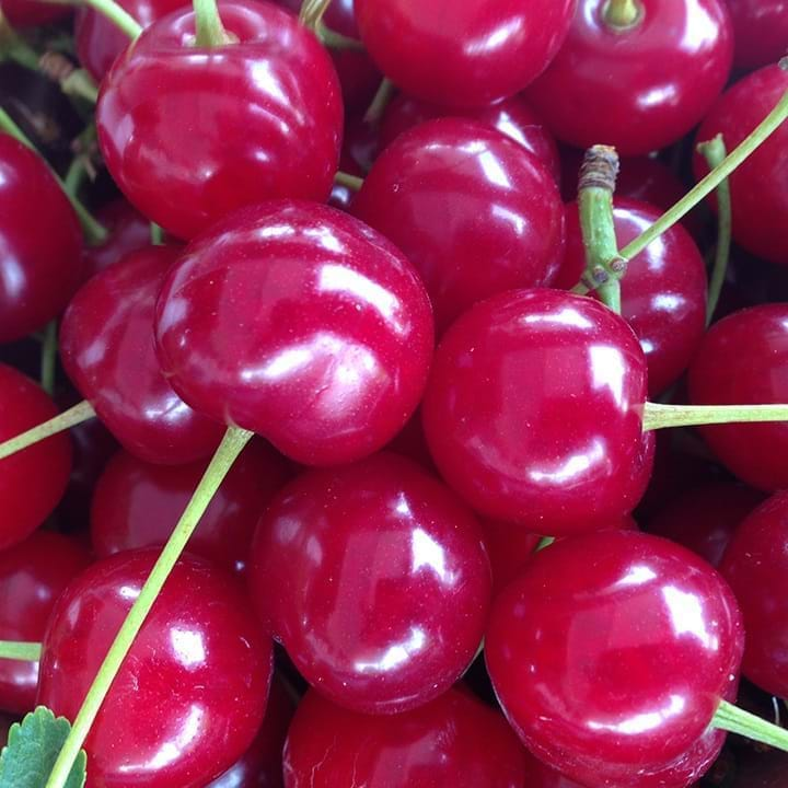 Cerises