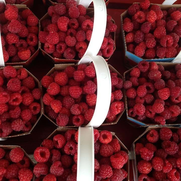 Framboises