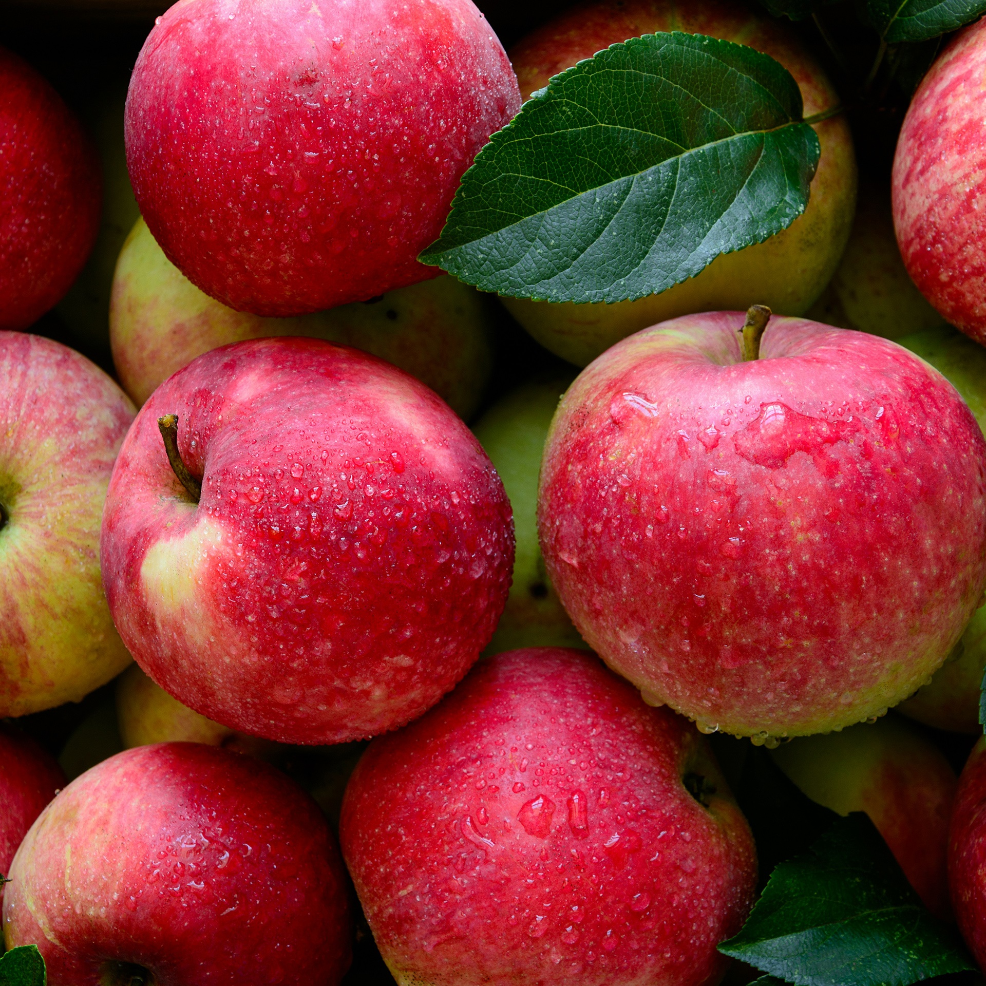 Pommes